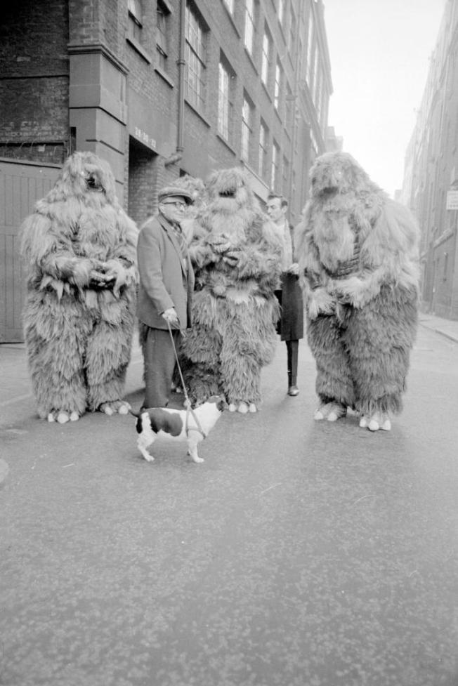 Yeti - old man and foxy barking