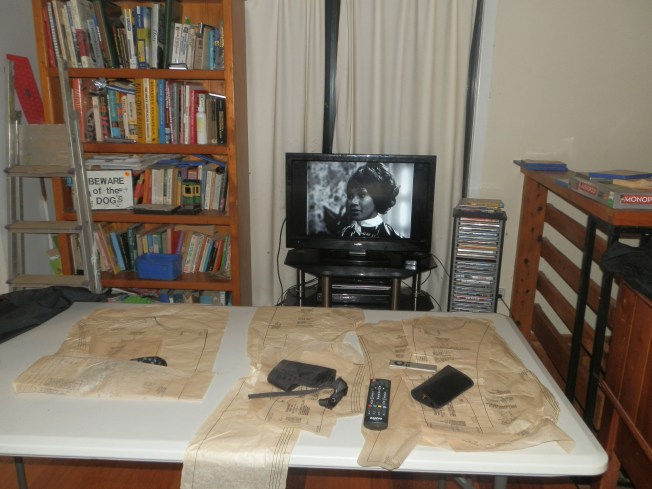 At last the Frock Coat pattern pieces are located and work can begin again.  For a while I thought that the Troughton Frock Coat's career would be as short as Fariah, Salamander's Food Taster